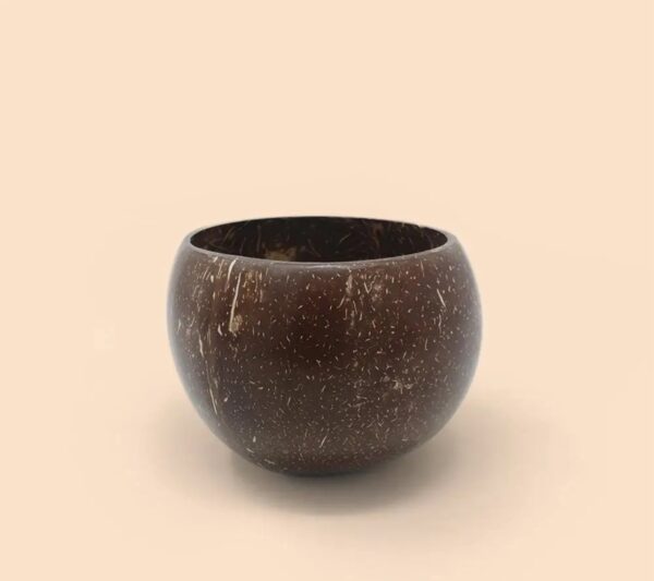 Coconut shell bowl for salad spiritual journey yoga organic living