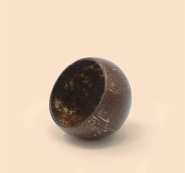 Coconut shell bowl for salad spiritual journey yoga organic living - Image 2