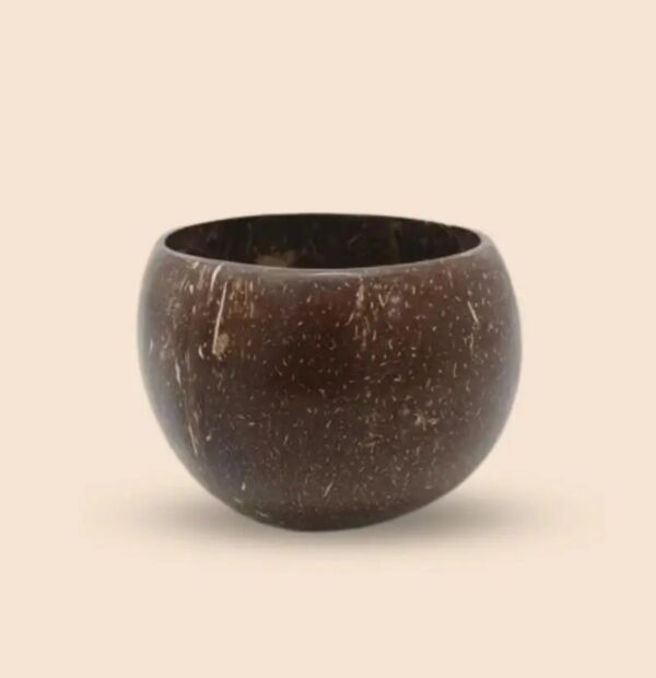 Coconut shell bowl for salad spiritual journey yoga organic living - Image 3